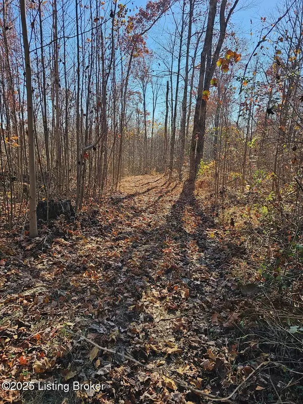 Battletown, KY 40104,3 Boone Hollow Rd