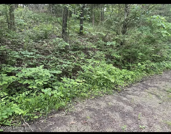 Corinth, KY 41010,LOTS 11/12 PERCY St #13