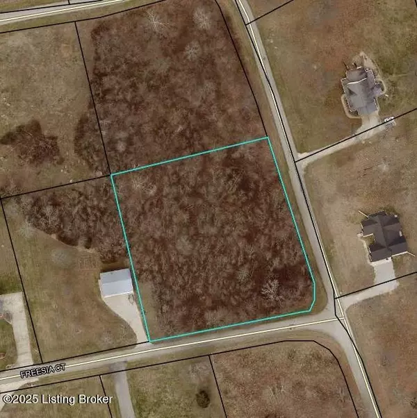 28 Freesia Ct, Brandenburg, KY 40108