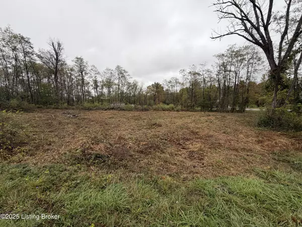 Brandenburg, KY 40108,28 Freesia Ct