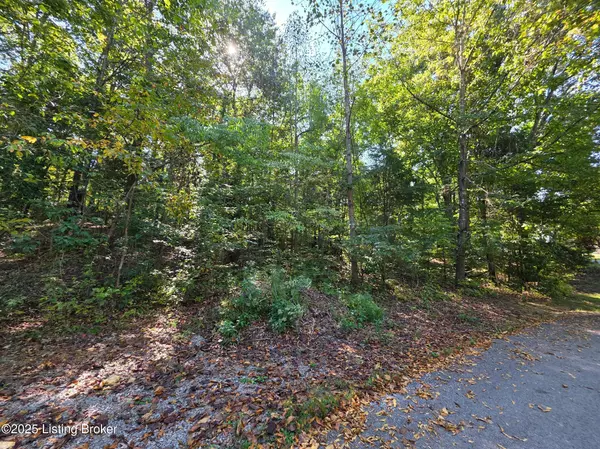 Falls Of Rough, KY 40119,35 Parkview Ln