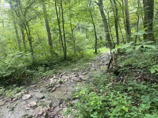 Sanders, KY 41083,3224-4 Goose Creek