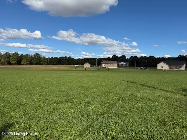 Bedford, KY 40006,162 Locust grove