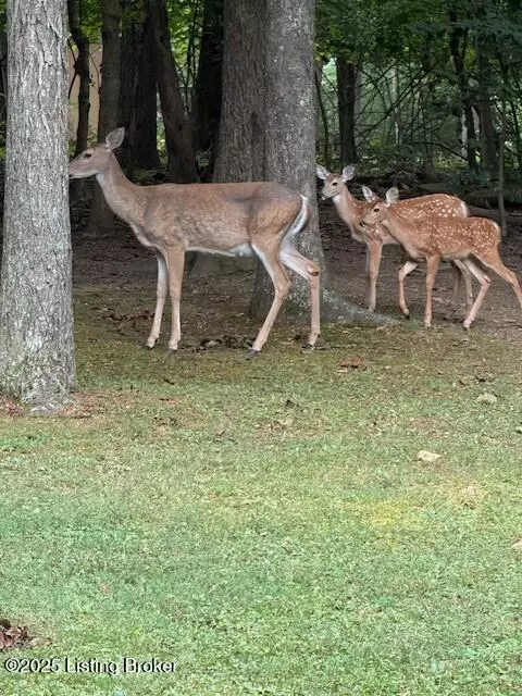 Bardstown, KY 40004,3203 Kings Ct