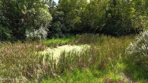 La Grange, KY 40031,1805 Wildbriar Ct