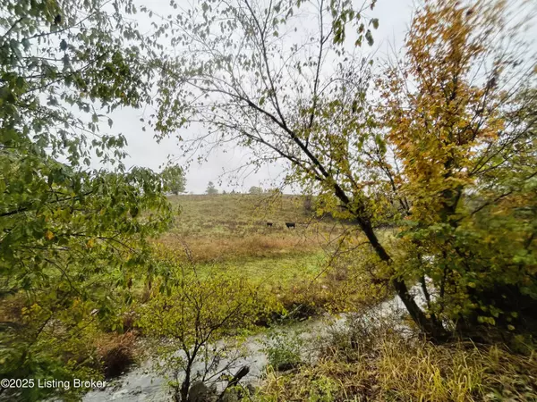 Springfield, KY 40069,Tract 2&3 Bearwallow Rd