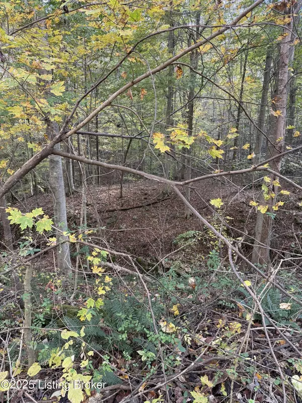 Leitchfield, KY 42754,0 Kendall Rd