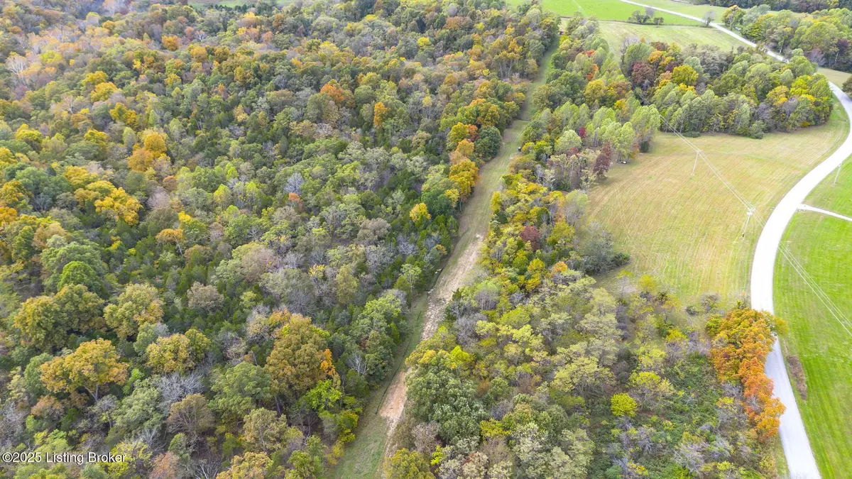 Bedford, KY 40006,Lot 8 Bray Ridge Rd