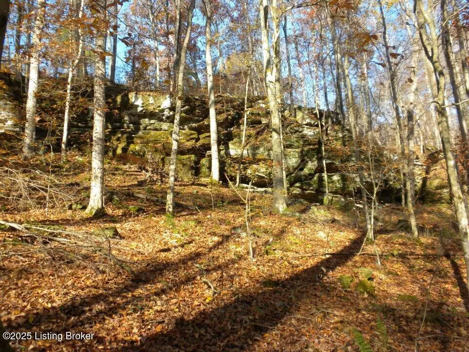 Bowling Green, KY 42101,2409 Benleo Rd