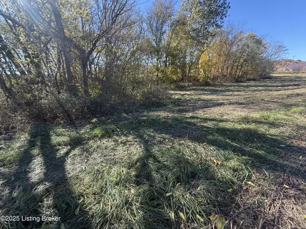 Guston, KY 40142,Lot #4 Hwy 60