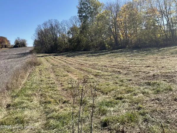 Lot #4 Hwy 60, Guston, KY 40142