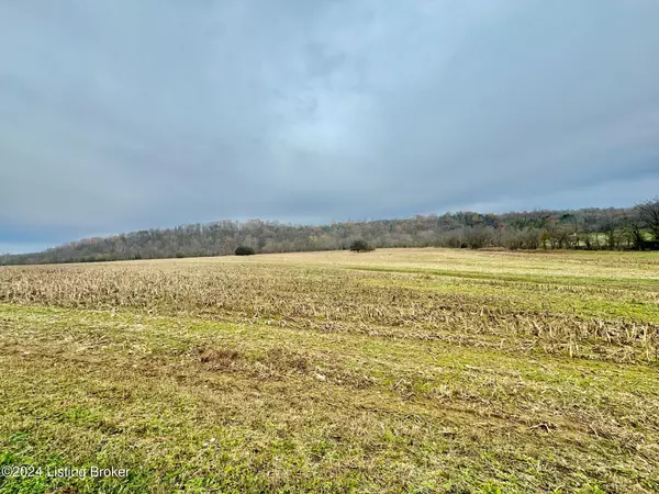 Springfield, KY 40069,975 Grundy Home Rd