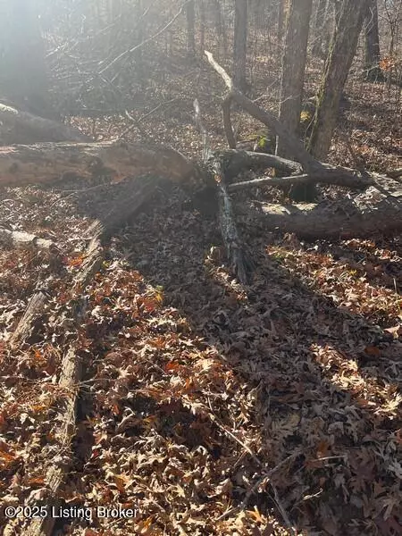 Clarkson, KY 42726,L32 Ted Logsdon Rd