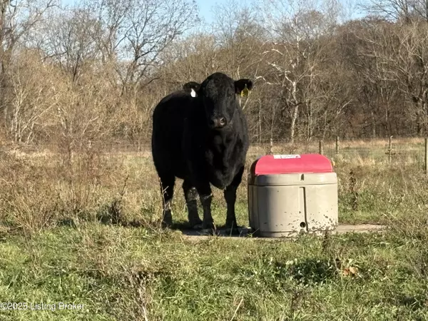 Worthville, KY 41098,0 HWY 467