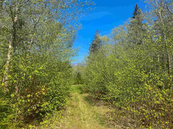 Morris Island, NS B0W 3M0,Highway 308 #Lot 20