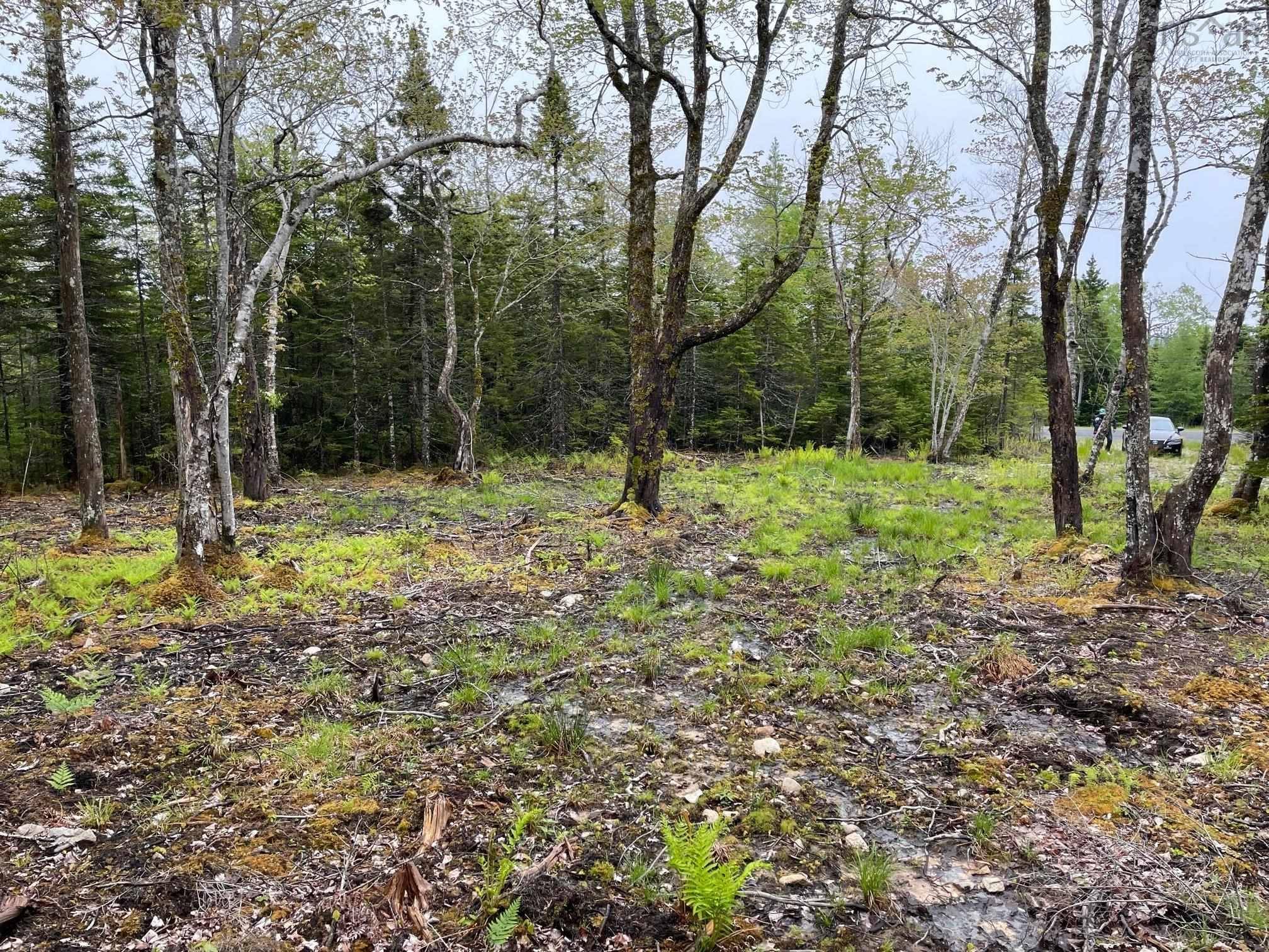 Lot 1A-81 Maple Dr, Cape George Estates, NS B0E 3B0