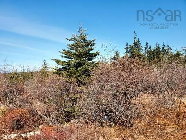 Woods Harbour, NS B0W 2E0,Rocky's Rd