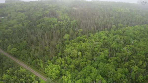 41A Widow Point Loop, Inverness, NS B0E 1N0