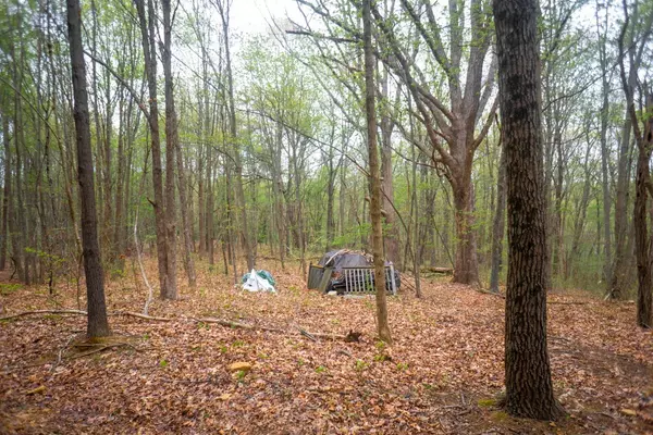 Otway, OH 45657,0 Hackworth Hill Rd