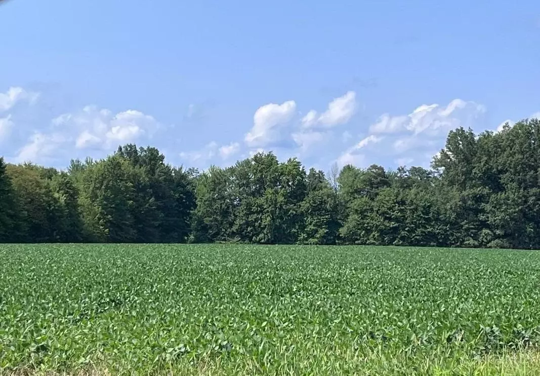 Green Twp, OH 45154,3517 Bardwell West Rd