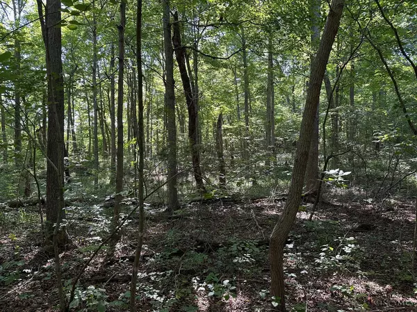 Bratton Twp, OH 45660,0 Dawn Ln