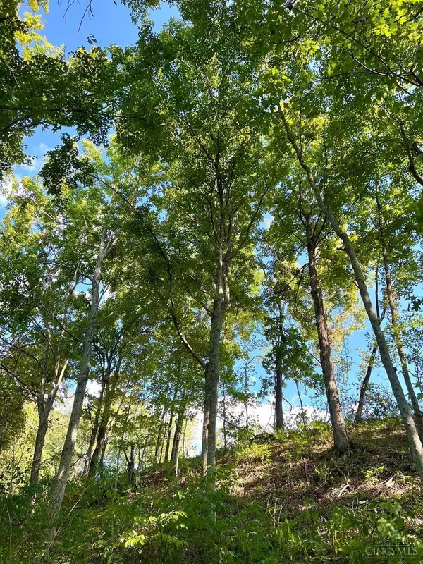 Crown City, OH 45623,1 Good Hope Rd