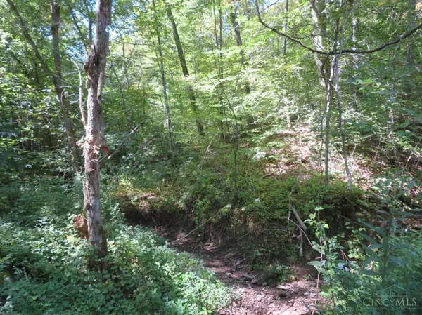 Peebles, OH 45660,1848 Parker Ridge Road