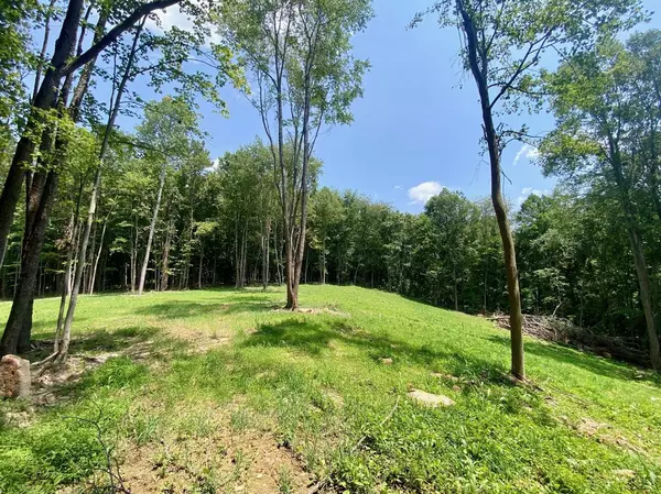 0 ST RT 781, Peebles, OH 45660