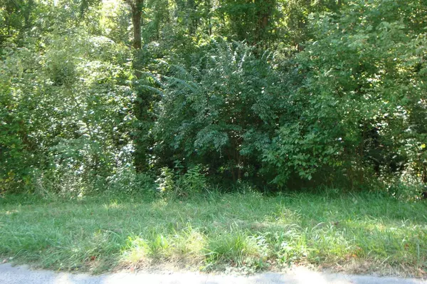 Brushcreek Twp, OH 45133,0 Spargur Ln #A