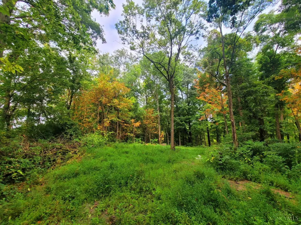 Franklin Twp, OH 45120,0 Hopewell Rd