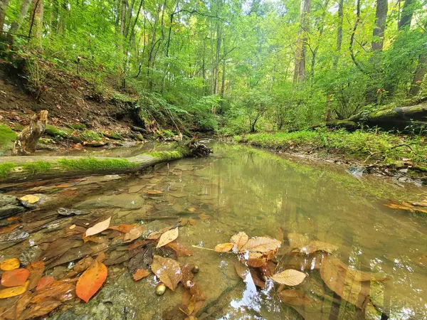 Franklin Twp, OH 45120,0 Hopewell Rd