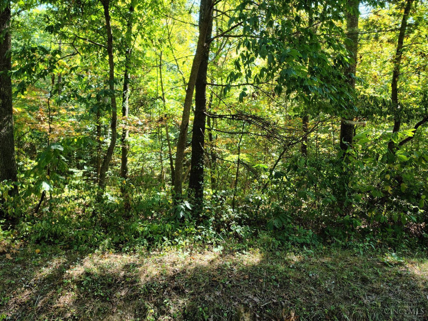 Racine, OH 45771,0 Ohio River Scenic Byway