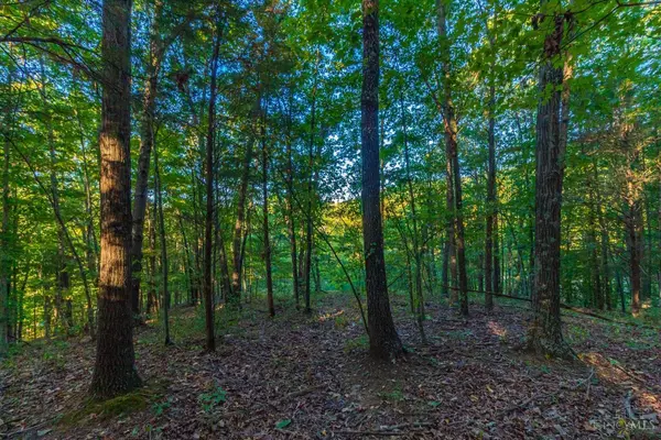 Blue Creek, OH 45616,120 Thelma Ln