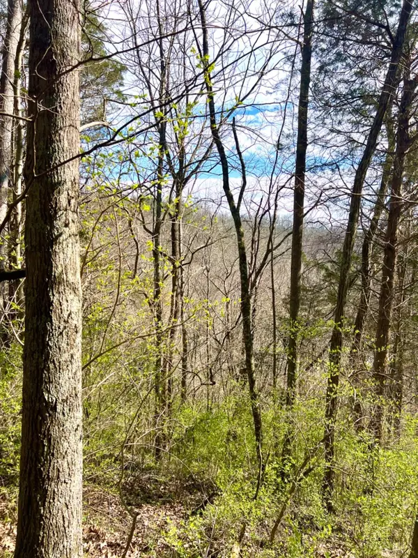 Union Twp, OH 45167,0 Old US Rt 68