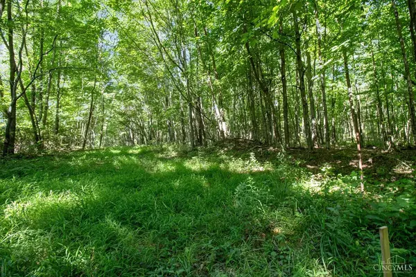 Goshen Twp, OH 45122,0 Linton Rd