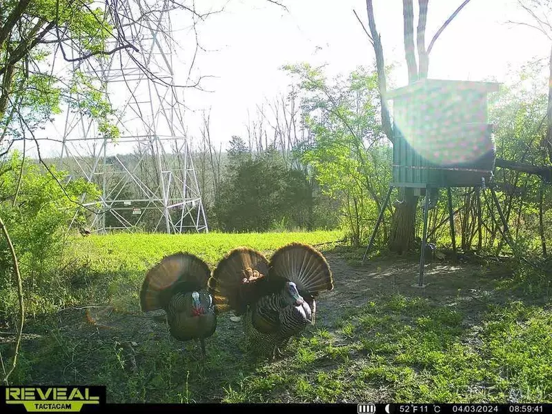 783 Lick Skillet Rd, Manchester, OH 45144