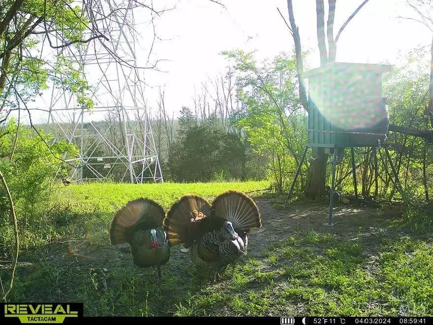 Manchester, OH 45144,783 Lick Skillet Rd