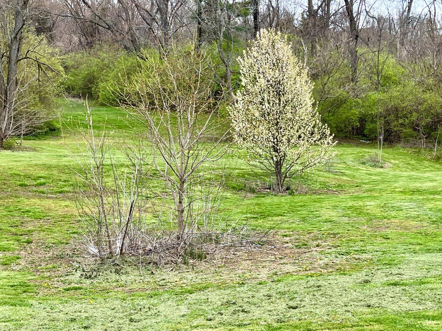Colerain Twp, OH 45247,7298 Harrison Ave