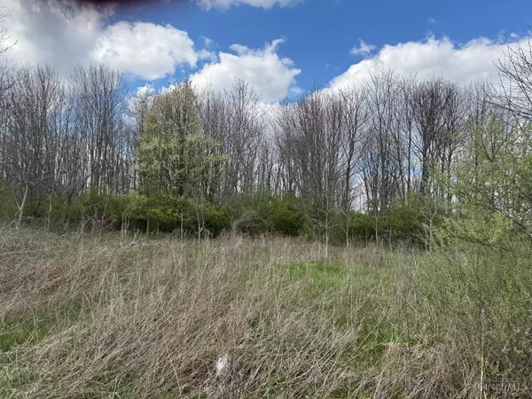 Paint Twp, OH 45133,32 Overman Rd