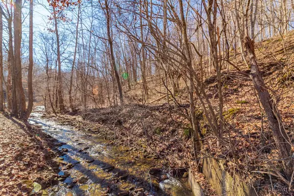 Blue Creek, OH 45616,2030 Slate Fork Rd