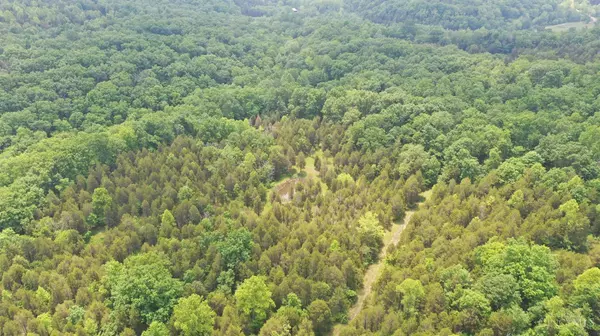 Oliver Twp, OH 45693,5 Freeland Hollow Rd