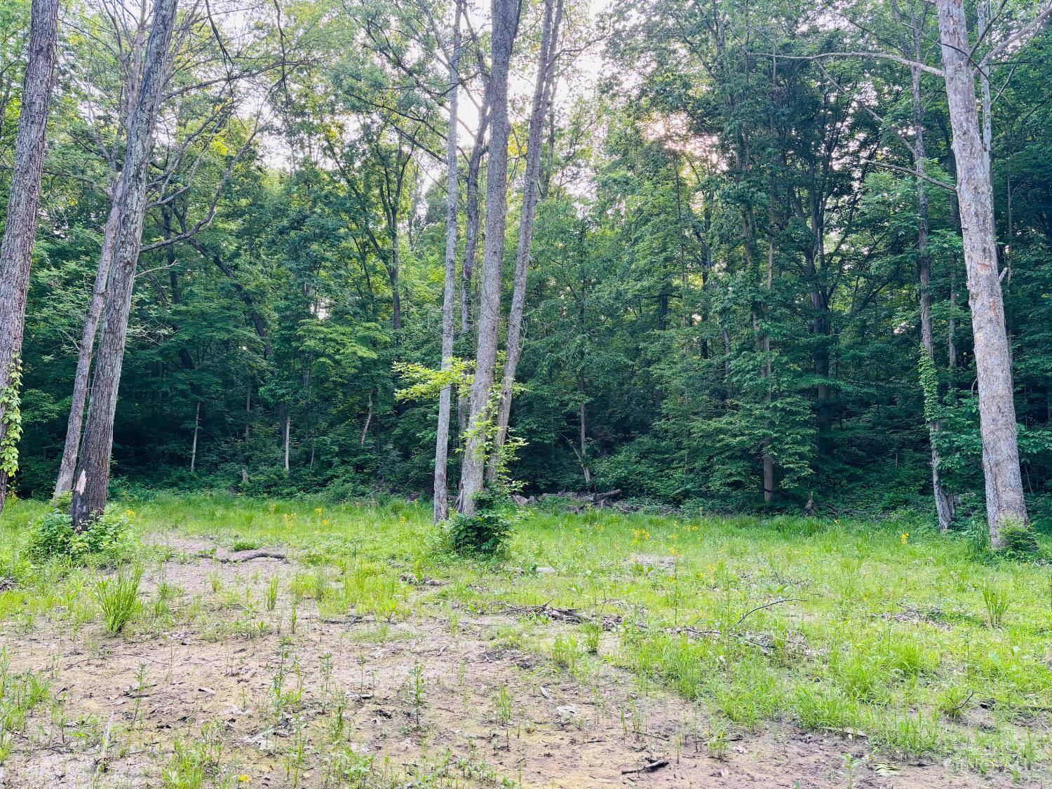 Laurel, IN 47024,0 Laurel Rd