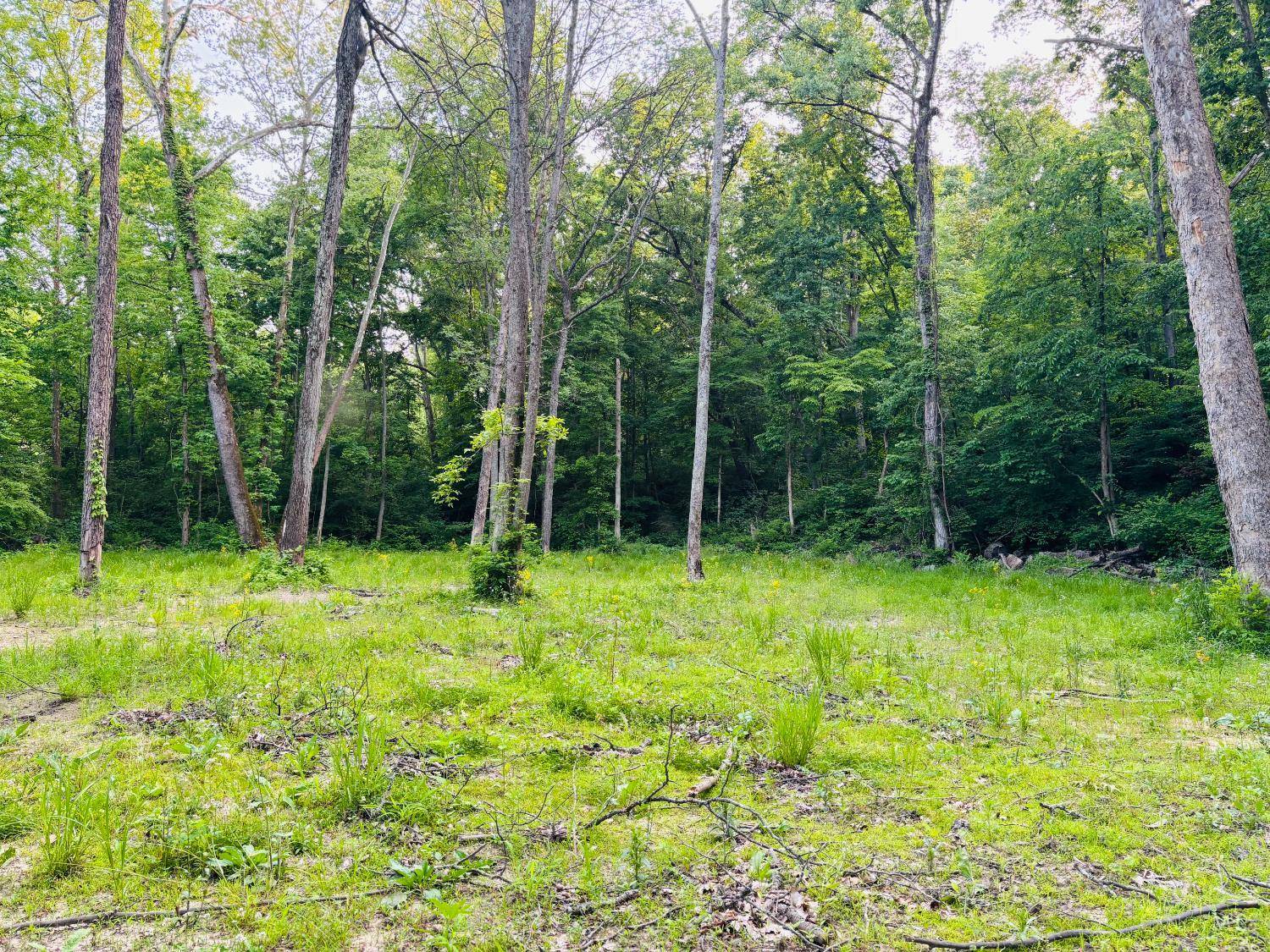 0 Laurel Rd, Laurel, IN 47024