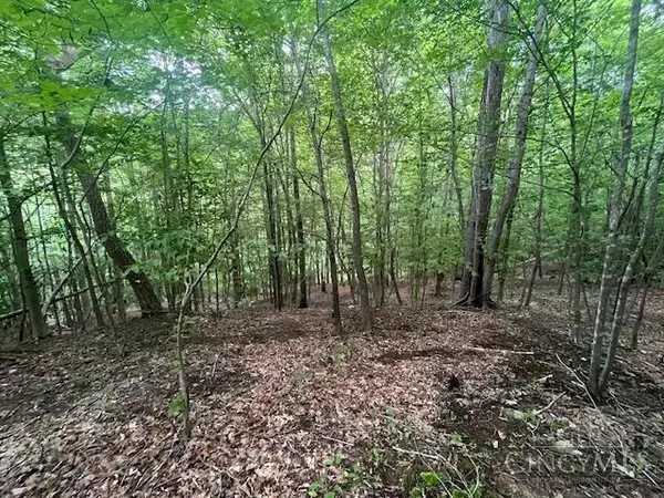 Washington Twp, OH 45663,0 Dry Run Rd