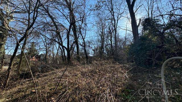 Cincinnati, OH 45217,17 Clinton Springs Ln