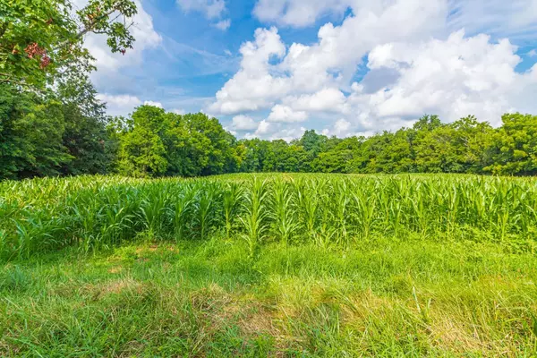 West Union, OH 45693,3188 St Rt 125