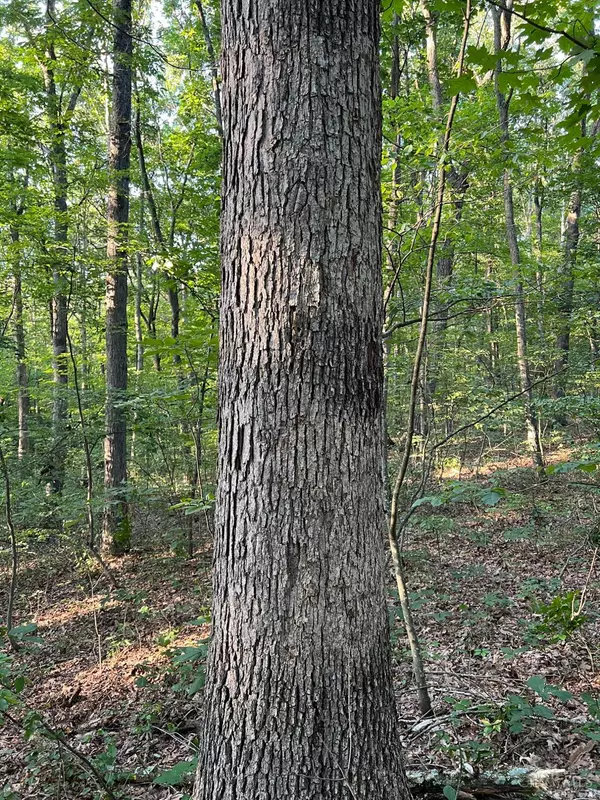 Chillicothe, OH 45601,0 Tabernacle