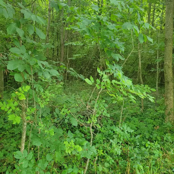 Marshall Twp, OH 45133,0 Fishermans Wharf Ln