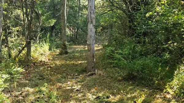 Union Twp, OH 45167,0 Wrangle Run Rd