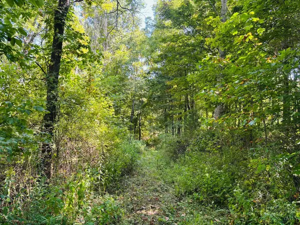 Alpine, IN 47331,6546 S St Rt 121